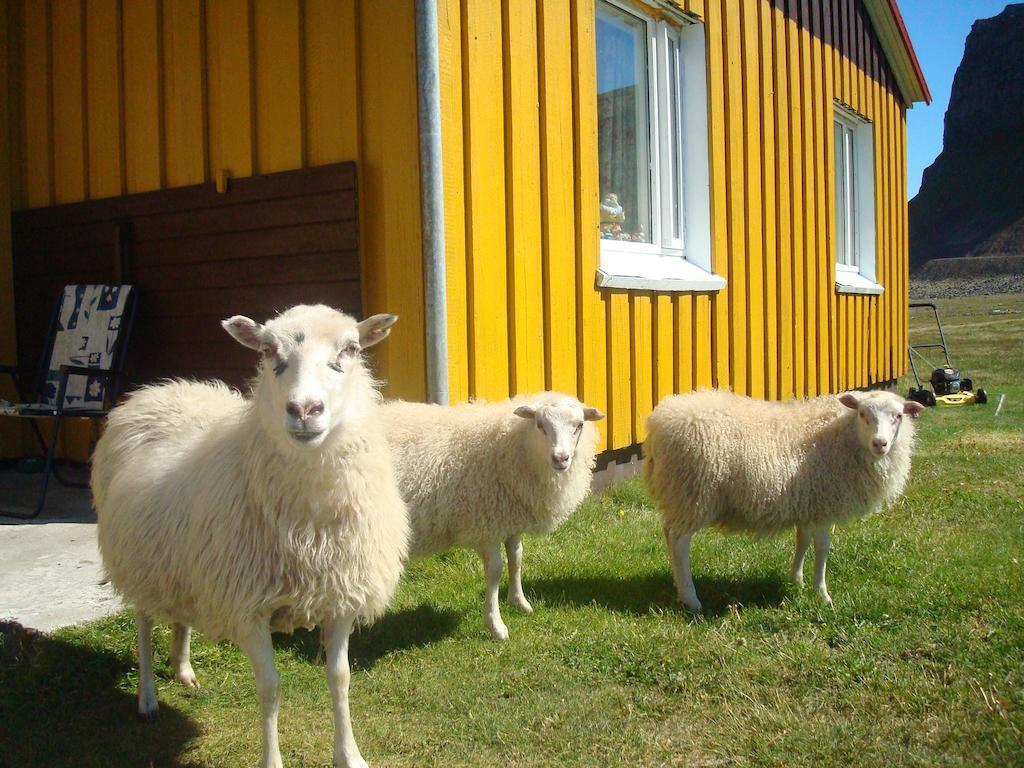 Haenuvik Cottages Hnjotur エクステリア 写真
