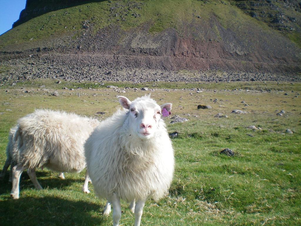 Haenuvik Cottages Hnjotur エクステリア 写真