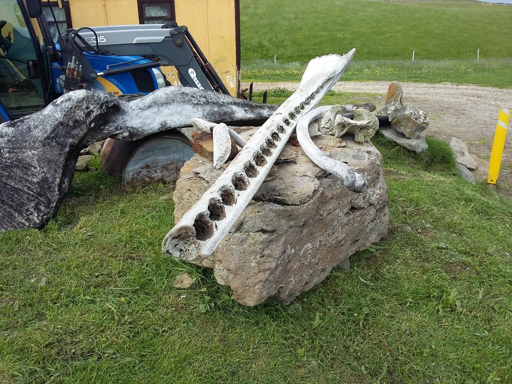 Haenuvik Cottages Hnjotur エクステリア 写真