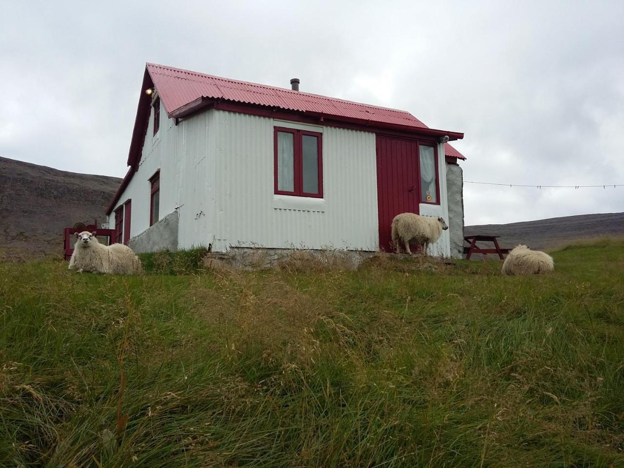 Haenuvik Cottages Hnjotur エクステリア 写真